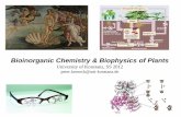 Bioinorganic Chemistry & Biophysics of Plants