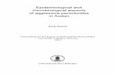 Epidemiological and microbiological aspects of aggressive - Bora