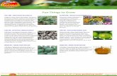 Download Catalog - Reimer Seeds