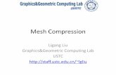 Ligang Liu Graphics&GeometricComputing Lab USTC