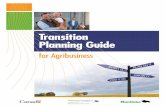 Transition Planning Guide - Manitoba