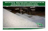 Woody Biomass Feedstock for the Bioenergy and - State of Indiana