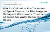 Wet Air Oxidation for Spent Caustic