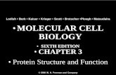 â€¢ MOLECULAR CELL BIOLOGY â€¢ MOLECULAR CELL BIOLOGY