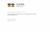 SARi Working Paper 2 Due Dilligence 150111