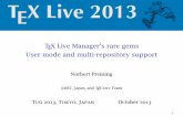 TeX Live Manager's rare gems [2pt]User mode and multi - TUG