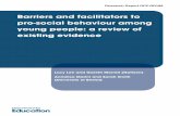 Barriers and facilitators to pro-social behaviour among young people
