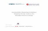 Sustainability Reporting Guidelines Mapping & Gap Analyses - IFC
