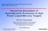 Numerical Simulation of Hydrodynamic Processes in High