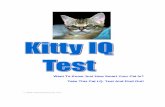 Cat IQ 2 - Traditional Cats
