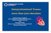 Interprofessional Teams: more than just education - proceedings