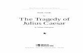 for The Tragedy of Julius Caesar