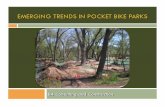 Pocket Bike Parks