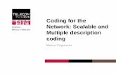 Coding for the Network: Scalable and Multiple description