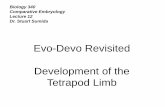 Evo-Devo Revisited Development of the Tetrapod Limb
