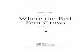 Where the Red Fern Grows - Glencoe