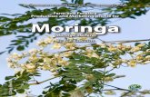 Farm and Forestry Production and Marketing Profile for Moringa - ctahr