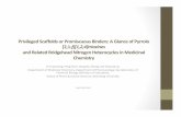 Privileged Scaffolds or Promiscuous Binders: A Glance of Pyrrolo