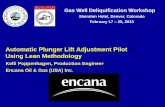 Automatic Plunger Lift Adjustment Pilot Using Lean Methodology