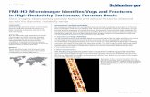FMI-HD Microimager Identifies Vugs and Fractures - Schlumberger