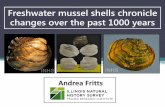 Freshwater mussel shells chronicle changes over the past ...