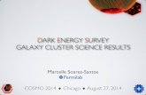 DARK ENERGY SURVEY GALAXY CLUSTER SCIENCE RESULTS