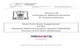 New York State Supplement to the National EMS Information ...