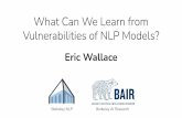 What Can We Learn from Vulnerabilities of NLP Models?