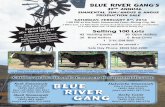 to view our online catalog! - Ruth Simmentals
