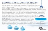 Dealing with water leaks - Crawley GOV