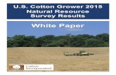Proposal template clearcarbon - Cotton Cultivated