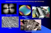 Mineralogical Features Observed with Polarizing Light ...