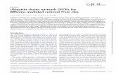ARTICLE Ubiquitin chains earmark GPCRs for BBSome-mediated ...