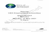 Special CEO Employment Committee Unconfirmed Minutes ...
