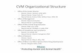 CVM Organizational Structure