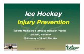 Youth Ice Hockey - USF Health