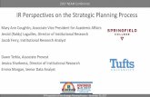 IR Perspectives on the Strategic Planning Process