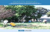 WATTS RISING - UCLA Luskin Center for Innovation