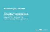 Strategic Plan 2020-2024 - Professionals