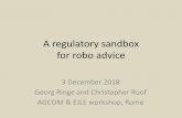 A regulatory sandbox for robo advice
