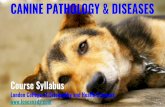 CANINE PATHOLOGY & DISEASES