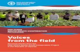 Voices from the field - fao.org