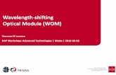 Wavelength-shifting Optical Module (WOM)
