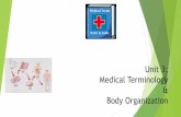 Unit 3: Medical Terminology & Body Organization