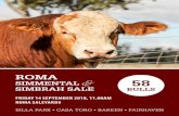 ROMA SIMMENTAL 58 SIMBRAH SALE BULLS