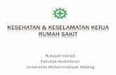 Rubayat Indradi Fakultas Kedokteran Universitas ...