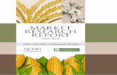 MARKET RESEARCH REPORT - NCDFI eMarket