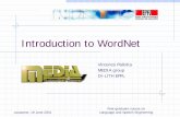Introduction to WordNet