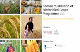Commercialization of Biofortified Crops Programme [CBC]