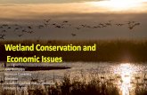 Wetland Conservation and Economic Issues